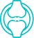 Internal Brace