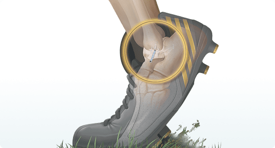 image 9 (2) Elite Ortho