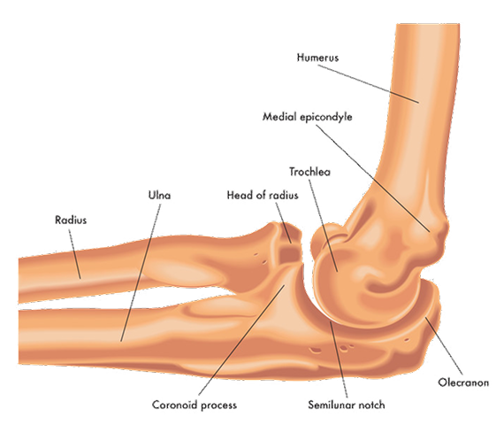 elbow elbow
